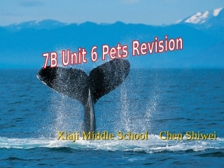 7BUNIT6复习课件