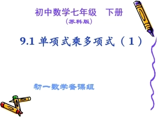9.1单项式乘单项式-(4)
