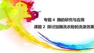 课题研究探究洗衣粉中的酶在洗涤中的作用
