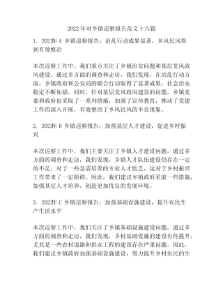 2022年对乡镇巡察报告范文十六篇 