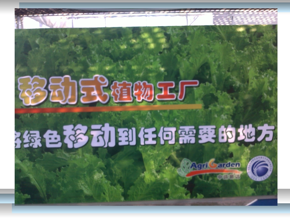 科学·技术·社会-无土栽培-(2)_第2页