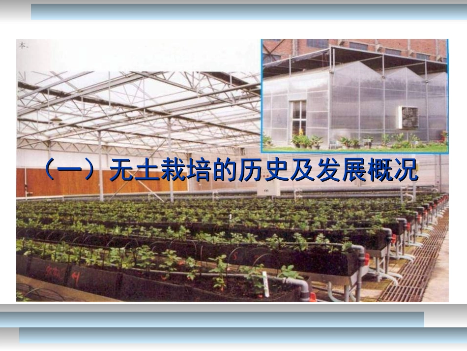 科学·技术·社会-无土栽培-(2)_第3页