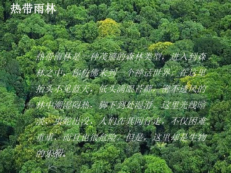 科学·技术·社会-森林可以减缓气候变化-(2)_第3页