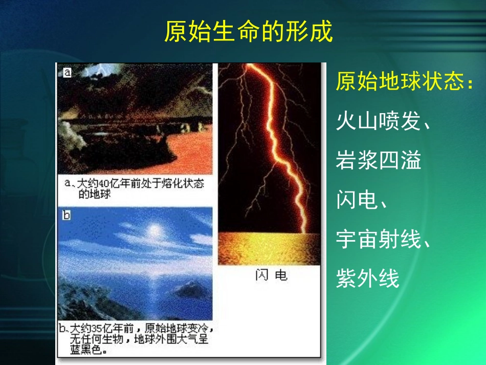 地球上的生命起源_第2页