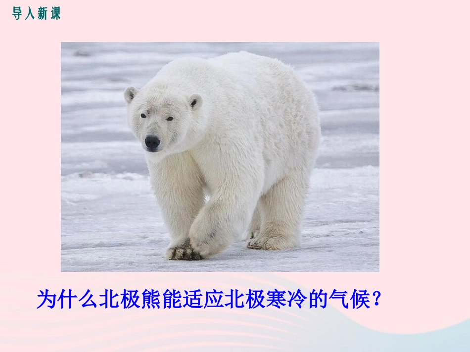 第1节生物学是探索生命的科学_第2页