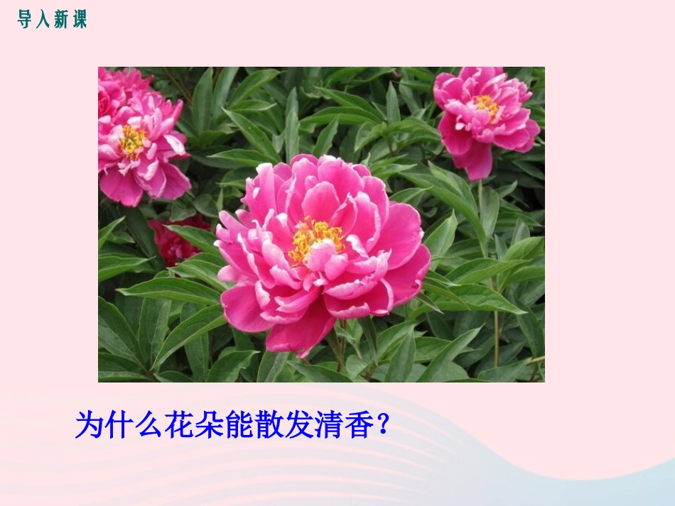 第1节生物学是探索生命的科学_第3页