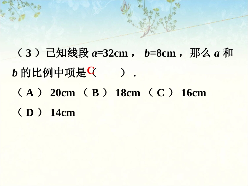 选择-比例线段_第2页