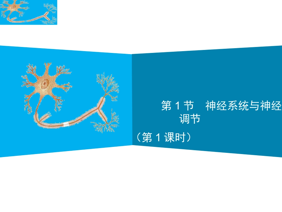 第1节神经系统与神经调节_第1页