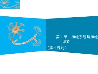 第1节神经系统与神经调节