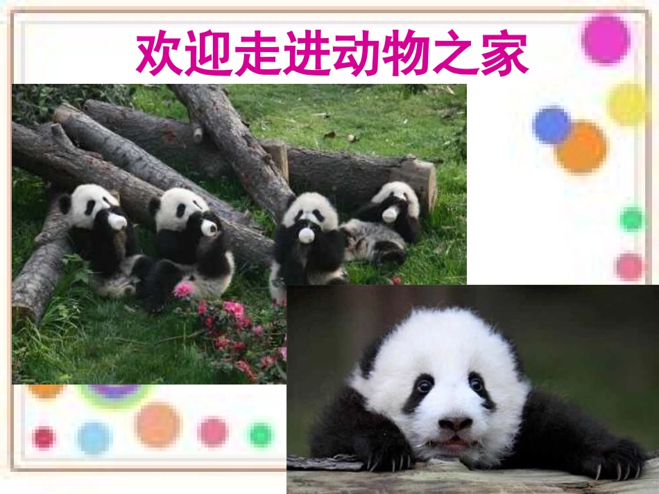 致同学们-(9)_第3页