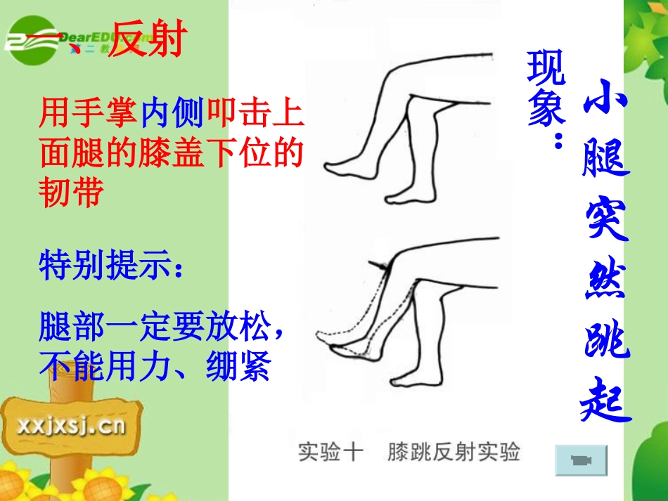 第三节神经调节的基本方式-(3)_第3页