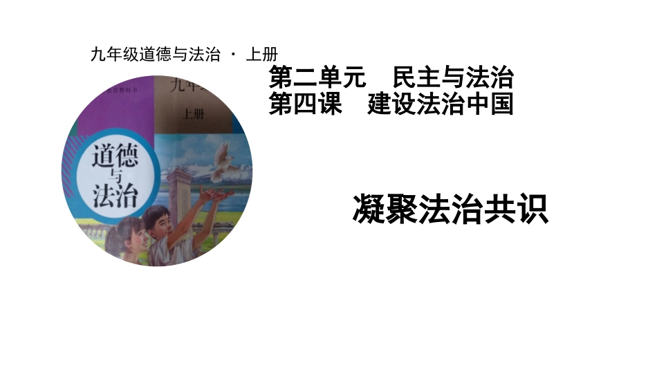 凝聚法治共识-(3)_第1页