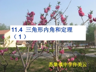 三角形内角和定理---531531--仵美云2