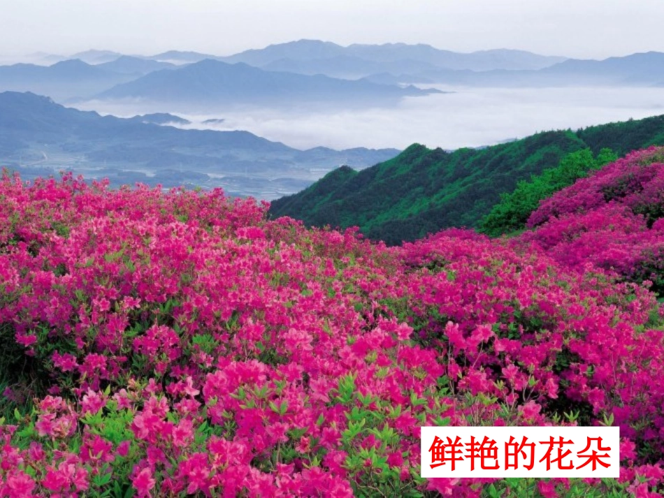 第1节土壤的成分-(2)_第2页