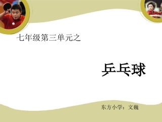 乒乓球-(2)