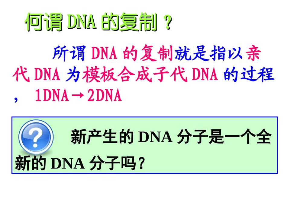 3.3《DNA的复制》-课件5_第3页