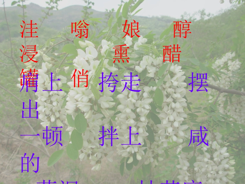 槐乡五月课件_第2页