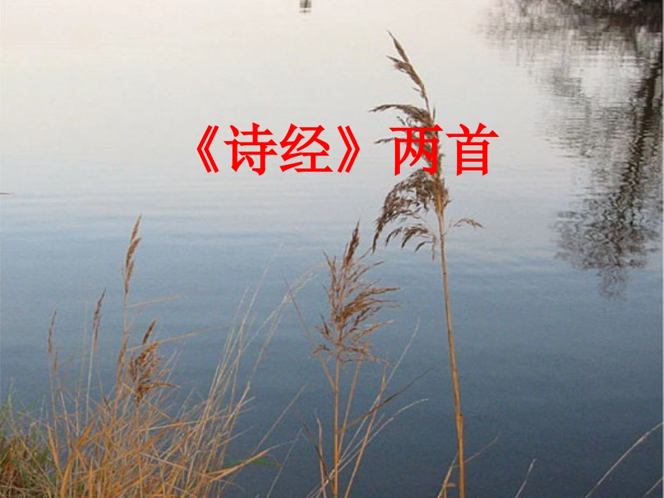 广东省英豪学校高中语文-第四单元第14课《诗经》课件两首(静女、氓)2课件-粤教版必修1_第1页