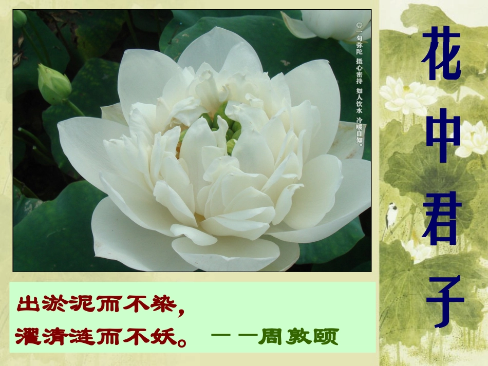 6荷塘月色-(2)_第1页