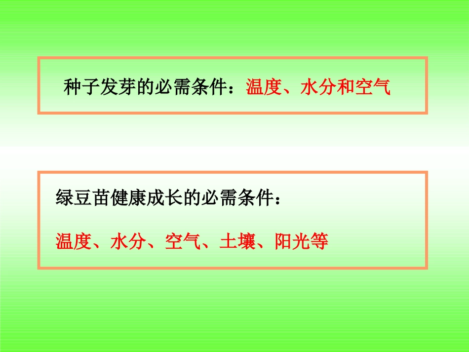 五年级科学上册第一单元观察绿豆芽的生长_第3页