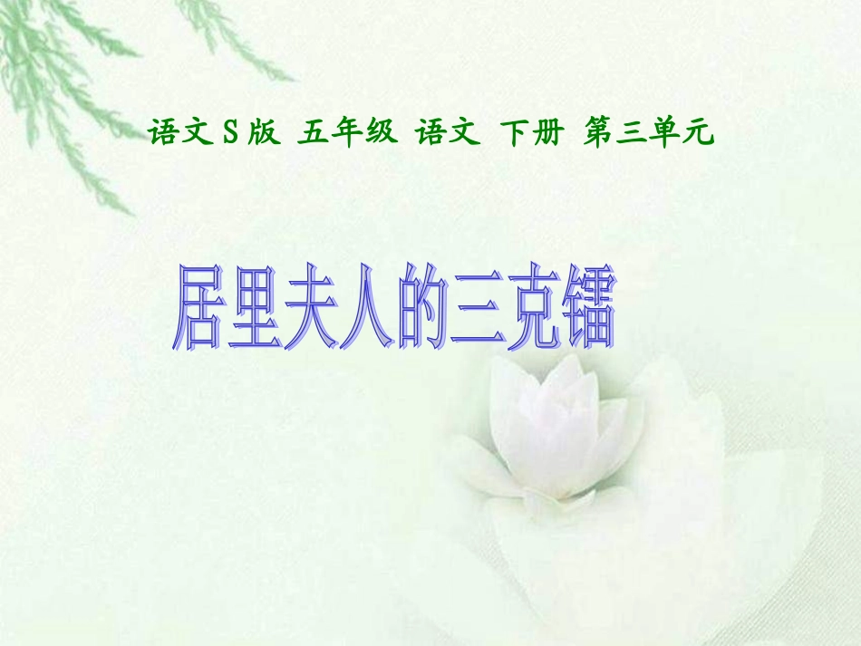 14居里夫人的三克镭_第1页