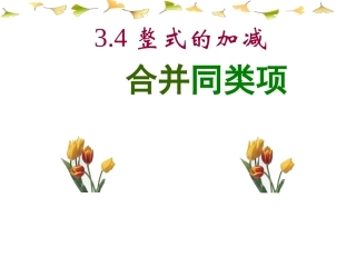 合并同类项课件.4第二课时-合并同类项