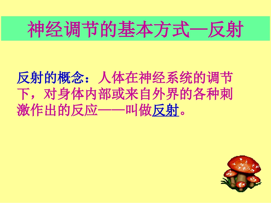 第1节人体的神经调节-(2)_第3页