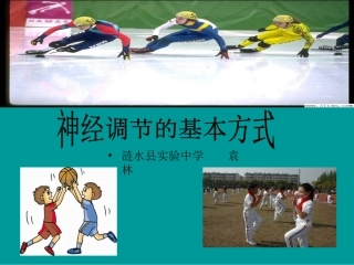 第1节人体的神经调节-(2)