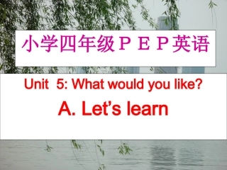 小学英语课件What-would-you-like