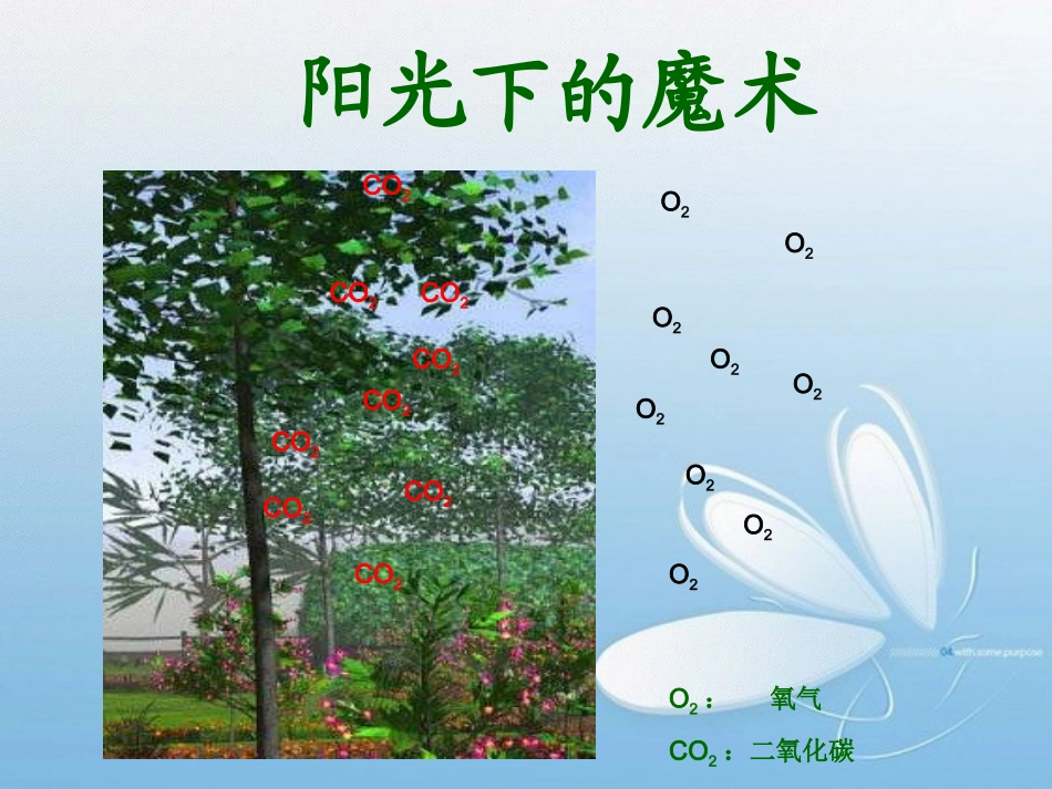 光合作用的过程_第2页