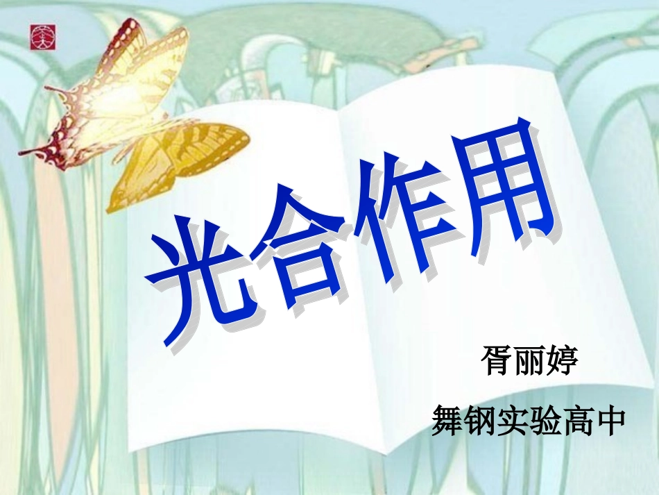 光合作用的过程_第3页