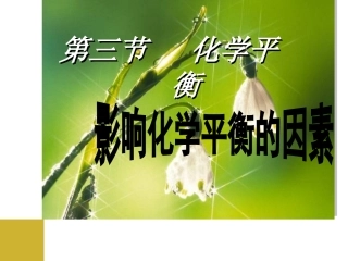 影响化学平衡的条件