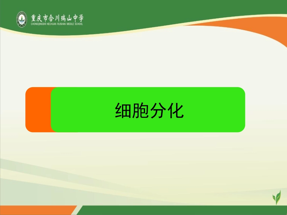 第1节细胞的分化_第1页