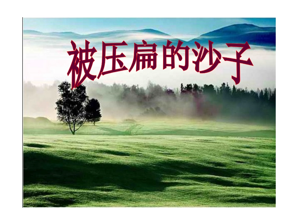 被压扁的沙子-(2)_第1页