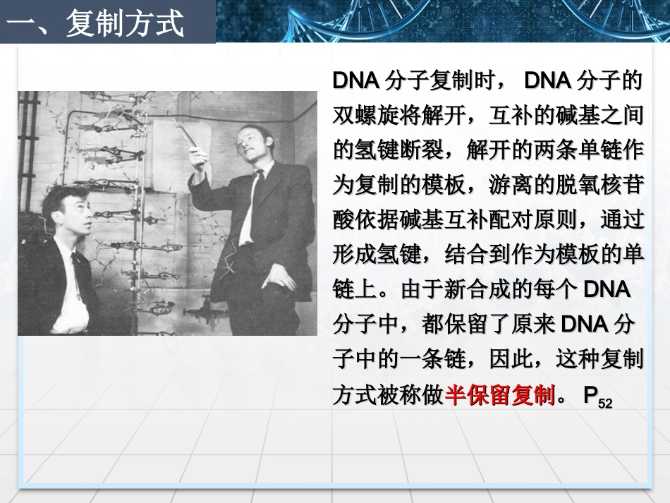 科学·技术·社会-基因治疗_第2页
