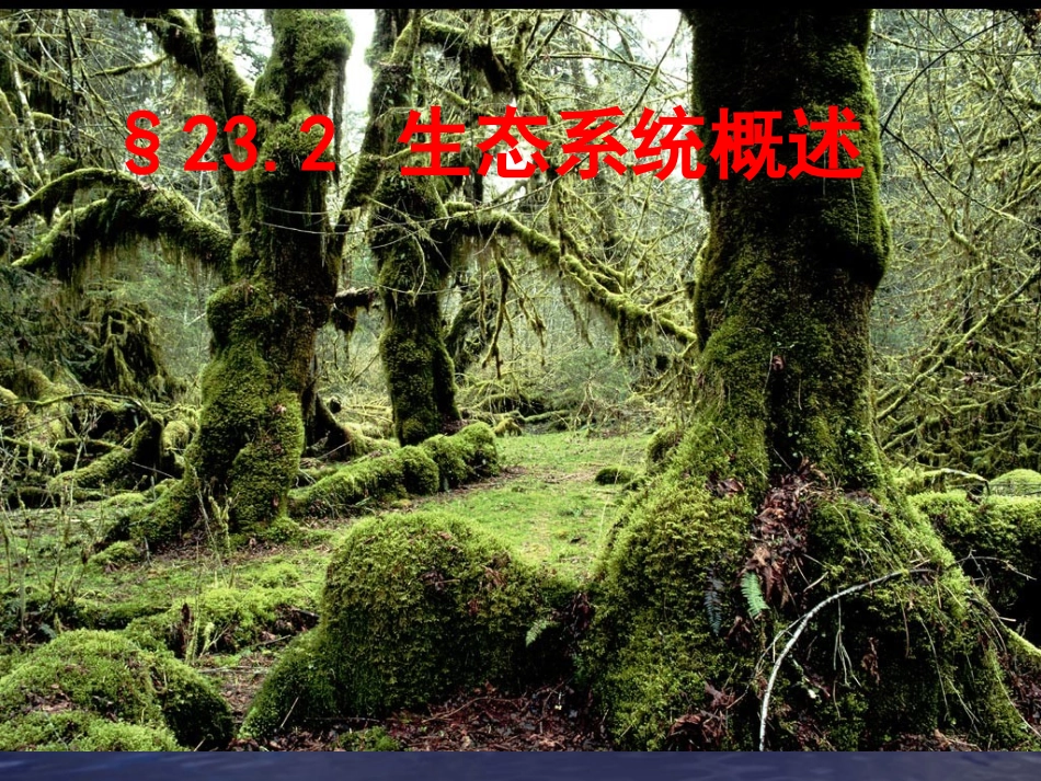 第1节生态系统概述_第1页