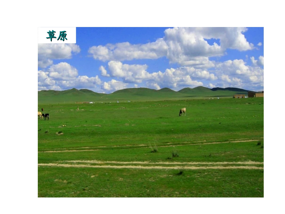 爱护植被-绿化祖国_第3页