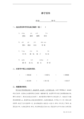 《祥子买车》试题-