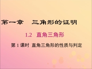 1.1直角三角形的性质和判定(I)-(3)