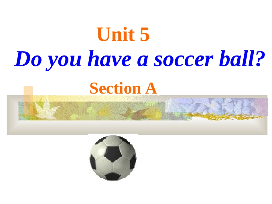 unit5-Do-you-have-a-soccer-ball？_第1页