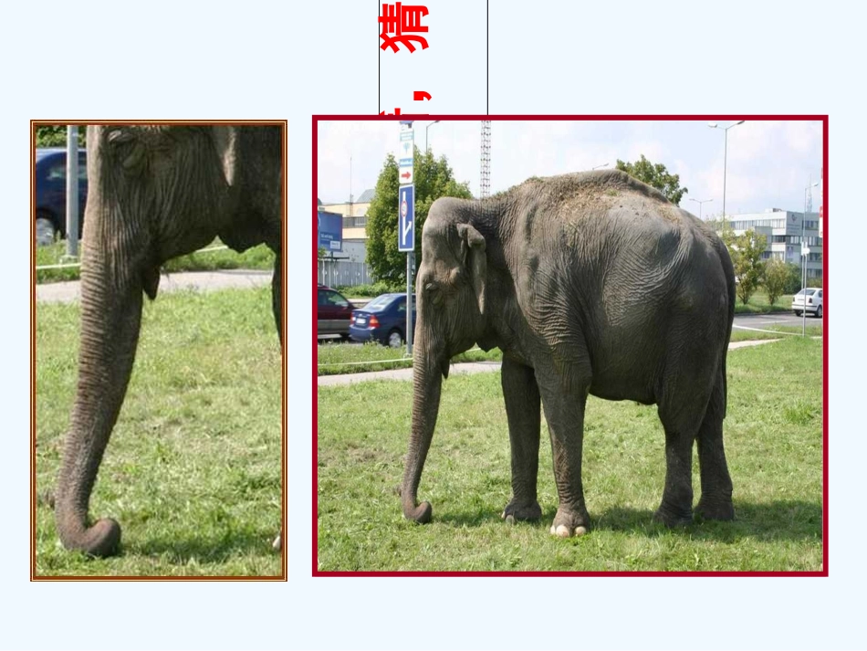 小学数学北师大2011课标版三年级观察物体-课件_第1页