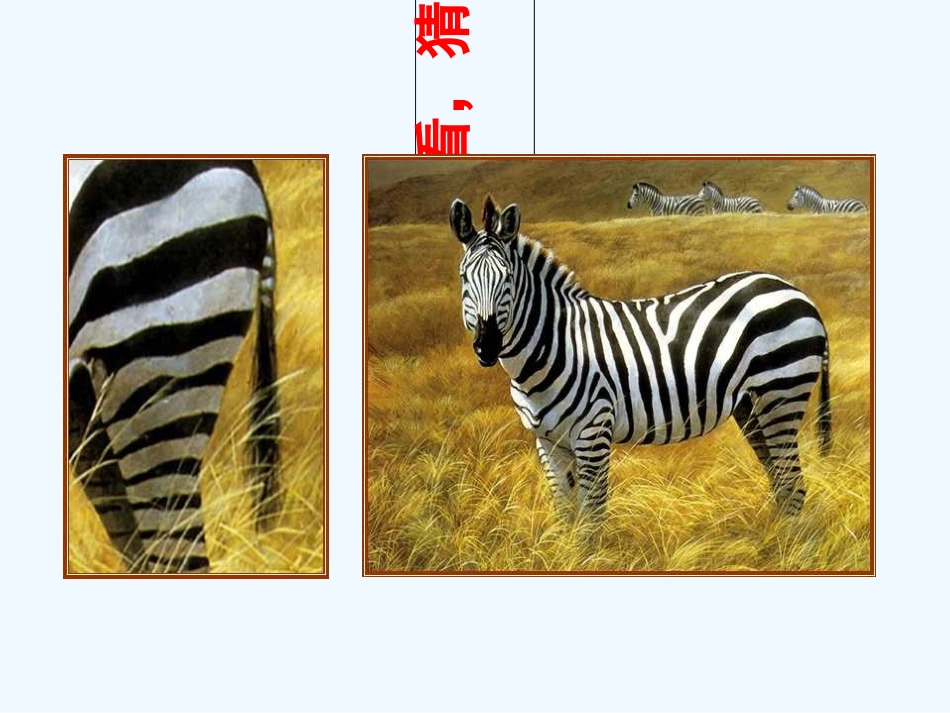 小学数学北师大2011课标版三年级观察物体-课件_第2页