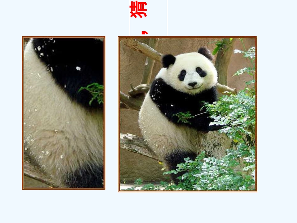 小学数学北师大2011课标版三年级观察物体-课件_第3页