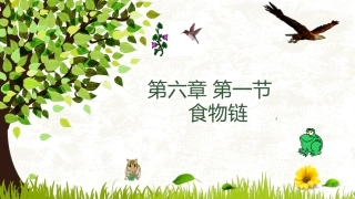 第1节食物链-(2)
