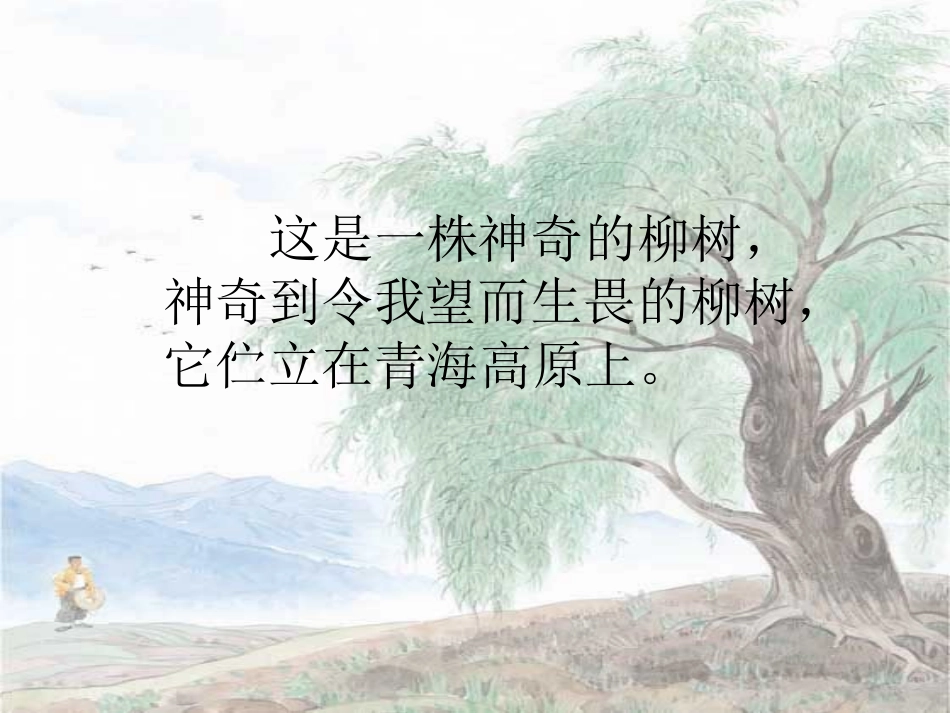 青海高原一株柳-(3)_第3页