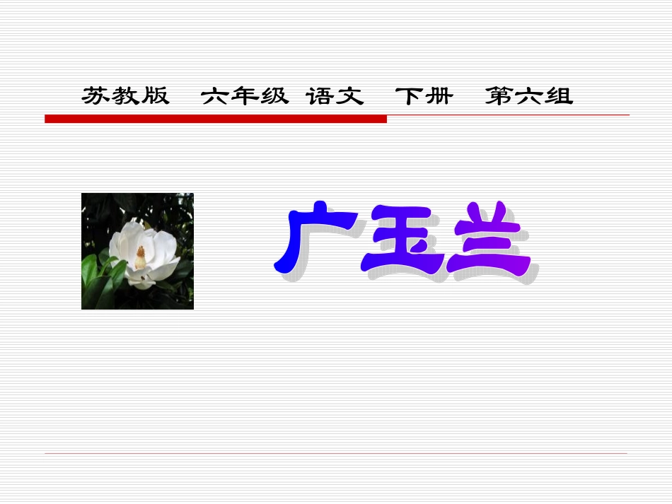 苏教版六年级下册语文《广玉兰》课件PPT_第1页