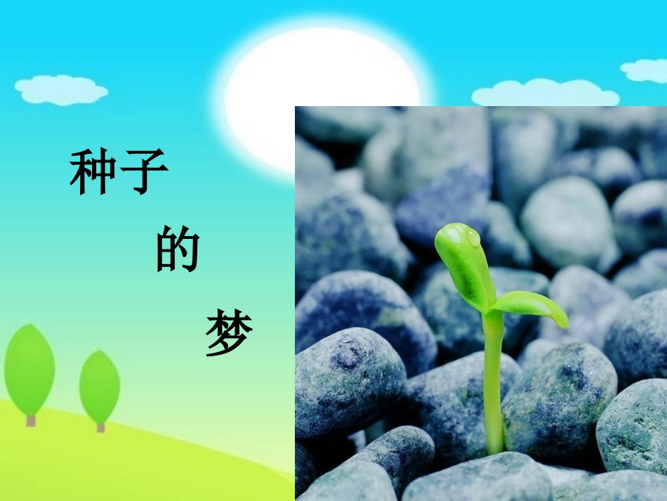 种子的梦-(3)_第1页