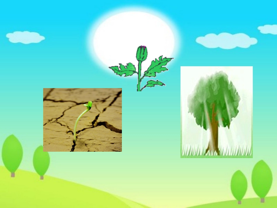 种子的梦-(3)_第2页