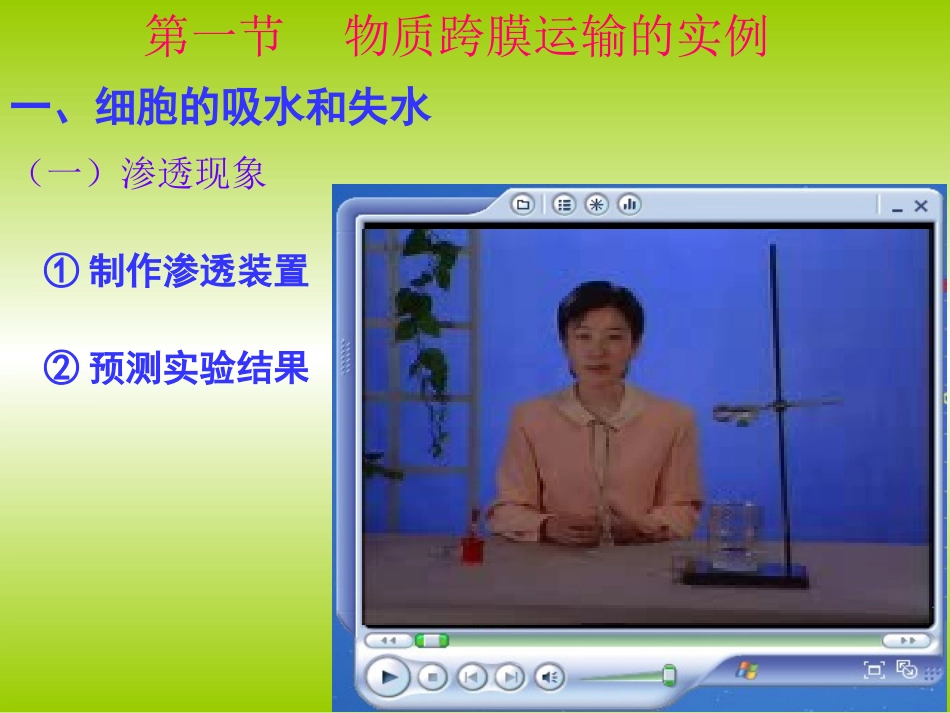 物质跨膜运输的实例000_第3页