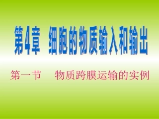 物质跨膜运输的实例000